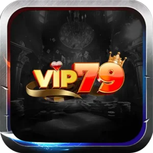 vip79 300x300 1